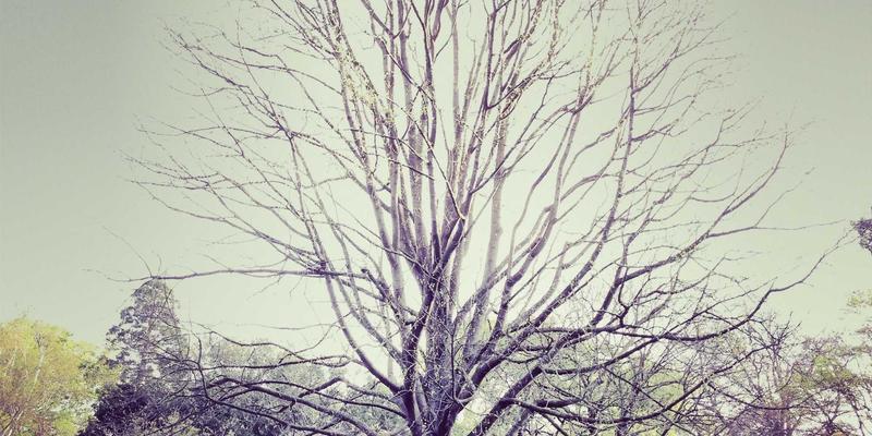 从家庭光纤到数据中心：北京电信云网融合战略如何重塑DCI网络高效通道