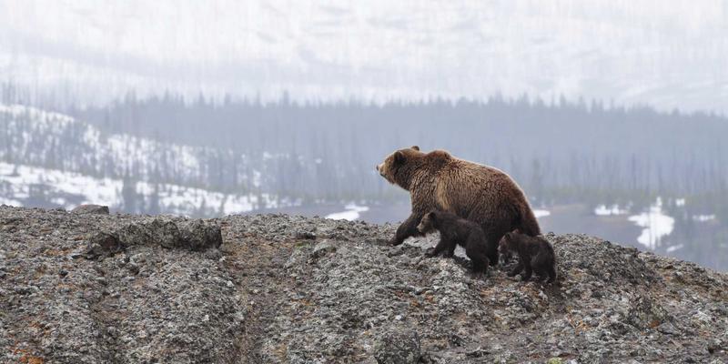 北京电信19：赋能企业数字化转型的基石——数据中心、网络接入与企业宽带的协同之道