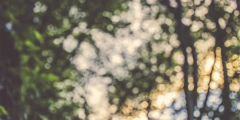 北京电信43：揭秘首都核心数据枢纽与智能网络接入新纪元