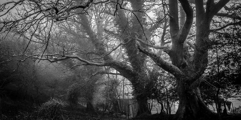 北京电信48：企业宽带与网络接入解决方案，赋能北京企业数字化转型