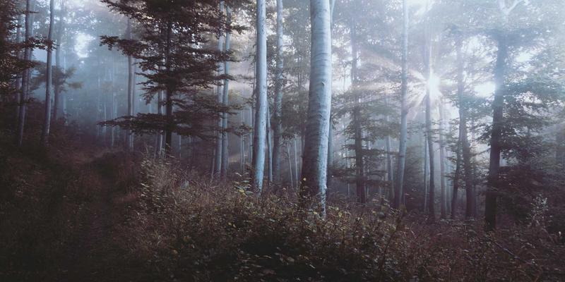 北京电信5G+工业互联网融合应用：企业宽带与边缘计算如何重塑智能制造新范式