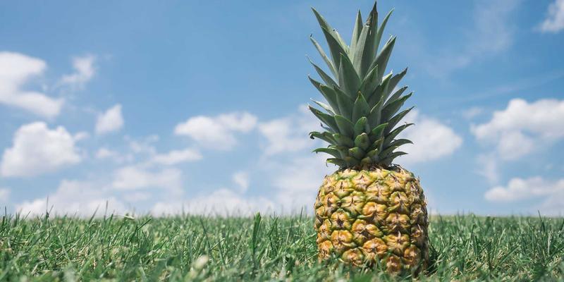 北京电信71：赋能企业数字化转型的通信服务新标杆