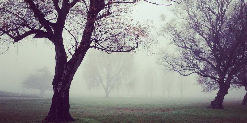 北京电信FTTR全光组网 vs Mesh组网：大平层与别墅Wi-Fi无缝覆盖终极对决