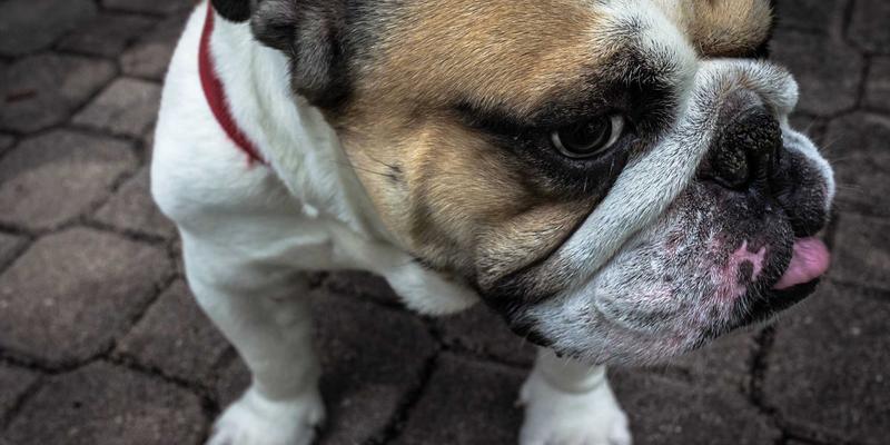 北京电信企业宽带与家庭光纤：如何构建智慧社区安防监控网络