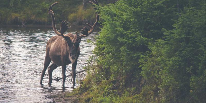北京电信企业宽带升级：破解老旧小区光纤改造的“最后一公里”接入困境
