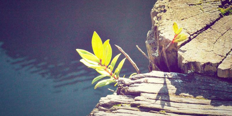 北京电信天翼云盘家庭版使用指南：在5G与家庭光纤时代，如何安全实现照片自动备份与多端同步