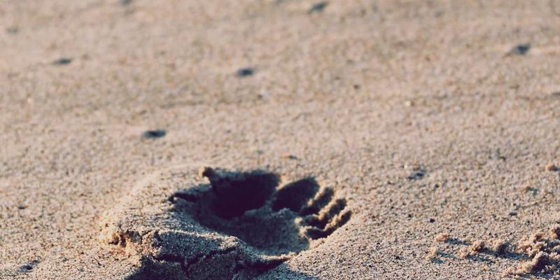 北京电信客服体系深度测评：企业宽带与家庭光纤用户如何高效解决问题