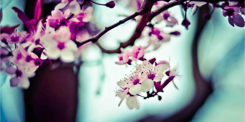 北京电信物联网卡：以5G与光纤为基，赋能智慧物流与农田监测的广域连接管理